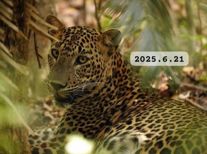 09b5c8cb-0e34-4401-89d1-5e3222effcac