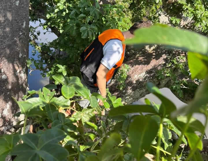 473226972_122135231048500484_7871775374529759393_n