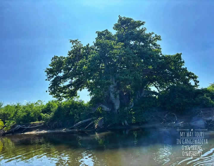 473389974_122135230406500484_923417818293323331_n