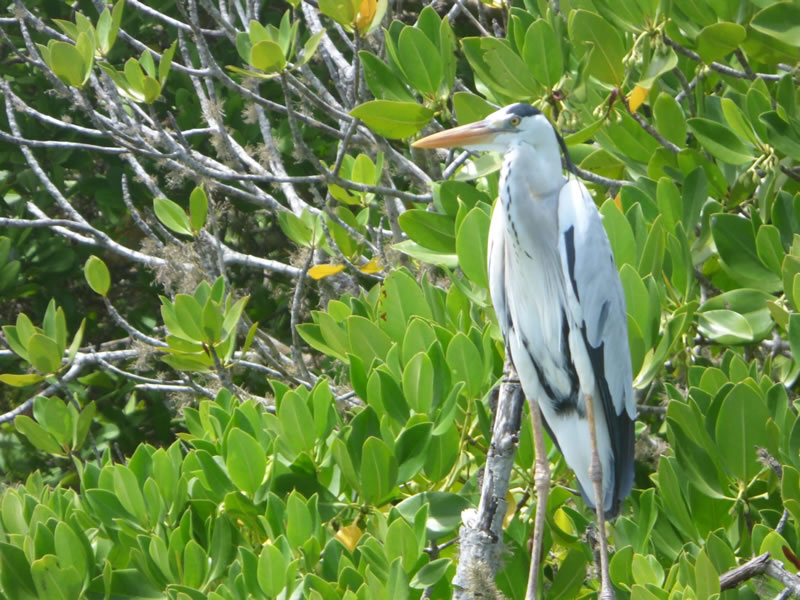 60b8c411-b76d-4f1d-936a-27f89215c9a0 (1)