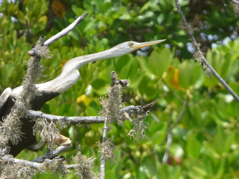 be5cd03b-e59e-4c01-a07b-8e485c224965