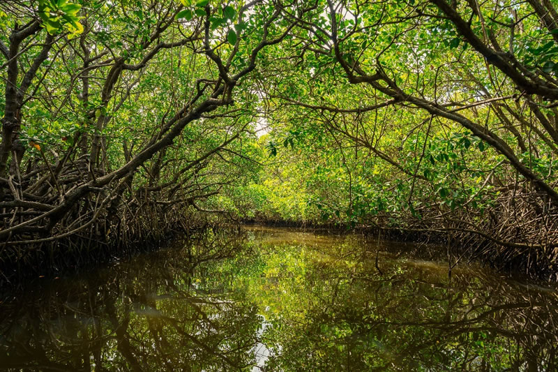 d681df14-bb67-4b99-b014-b51c94bba8d9 (1)